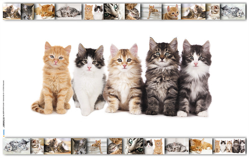 HERMA Schreibunterlage Animals – Katze – 550 × 350 mm – Kunststoff, rutschfest