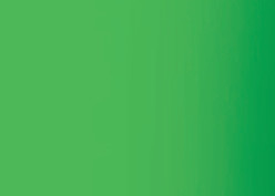 Caran d-Ache Caran d'Ache – Acrylfarbe – Brillantgrün, 250 ml, für Leinwand, Stoff & Papier