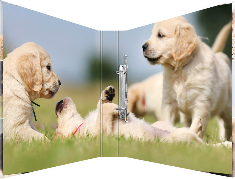 HERMA Zeigebuch Animals – A4 Hochformat – 2-Ring Bügelmechanik, Rücken 35 mm – Mehrfarbig, Karton, mit Niederhalte