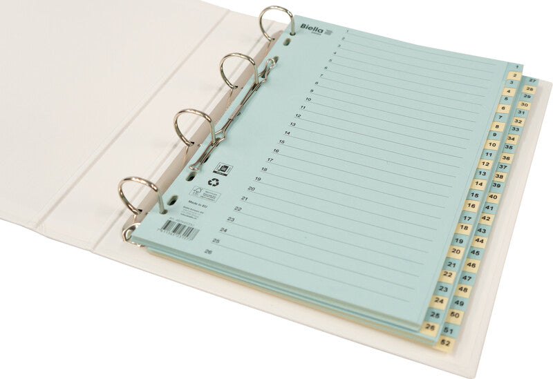 Biella Register – A4, Karton, farbig, vorgedruckt, 11-fach Lochung, mit Indexblatt