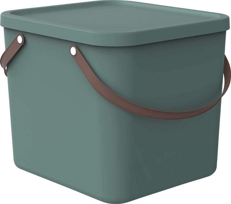 Rotho Albula Aufbewahrungsbox – Kunststoff, Mistelgrün, 35,8 × 34 × 40 cm