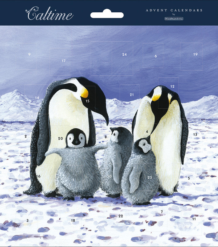 Caltime Wabendekor Adventskalender Pinguine, Karton, Mehrfarbig, 21,3 × 21,3 cm – eco:plus