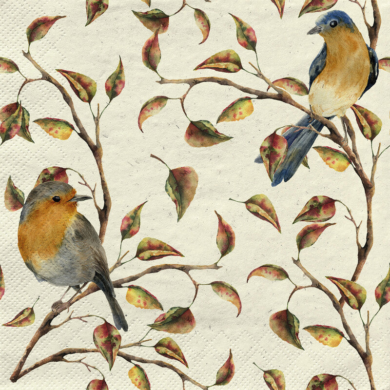 Fasana Servietten Birds in Nature – 33 × 33 cm – 2-lagig, Tissue – 20 Stk., FSC