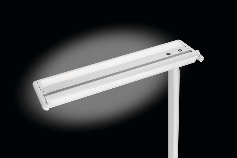 MAUL LED-Stehleuchte Javal – dimmbar – 4000 K – 13'060 lm 68 W – weiss, Aluminium