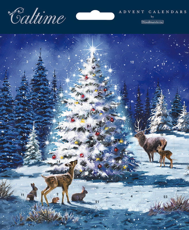 Caltime Adventskalender Zauberbaum, sortiert, Karton, 16 × 16 cm, recyclingfähig, abbaubar – eco:plus