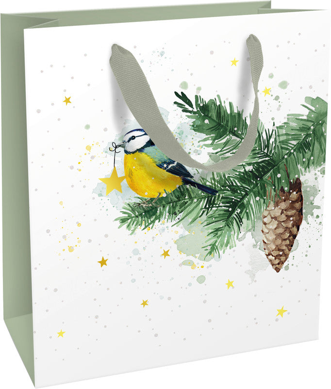 Braun + company Geschenktasche – Wintermeise – matt kaschiert, Ripsband – 180 × 210 × 80 mm
