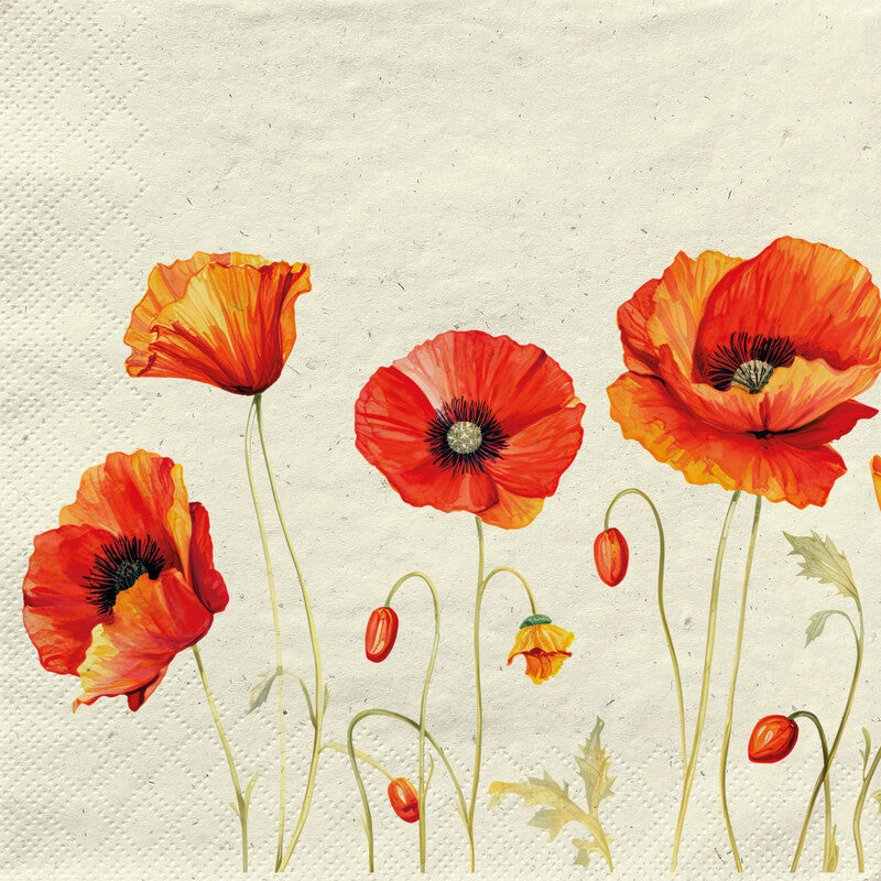 Fasana Servietten Mohnblumen auf Gras – 33 × 33 cm – 2-lagig, Tissue – 20 Stk., FSC