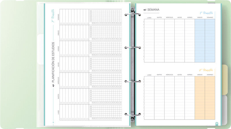 Carchivo Ringbuch Carpeblock 360 – A4 Hochformat – 4 Ringe, Ø 35 mm, Rücken 40 mm – Hellgrün, mit Raumsparösen