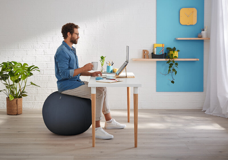 Leitz Sitzball Ergo Cosy Active – Ø 65 cm, samtgrau