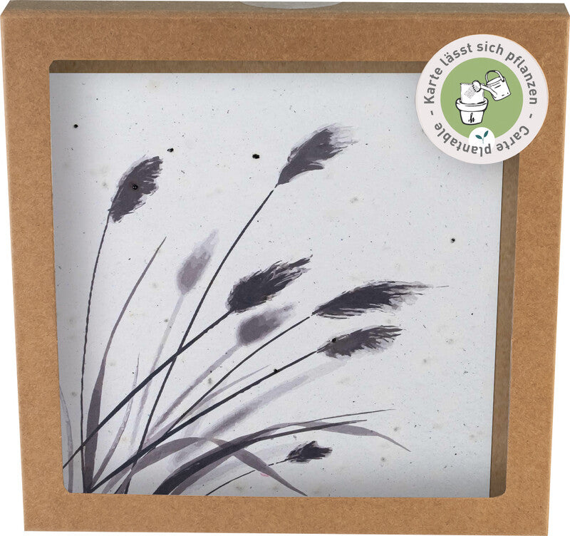 Hervorragend Grusskarte Trauer – 130 × 130 mm – mit Umschlägen, Papier, 5er Pack