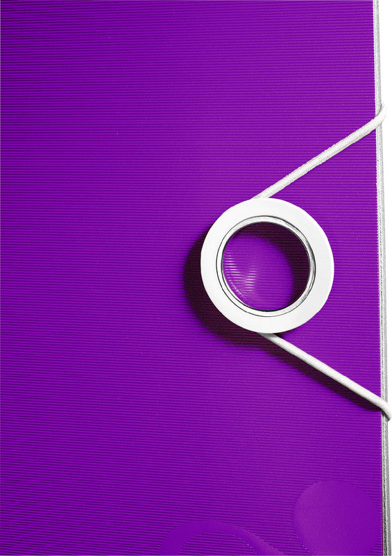 Leitz Ordner – A4 hoch – 2-Ring Hebelmechanik, Rücken 80 mm – violett, mit Niederhalter, mit Griffloch