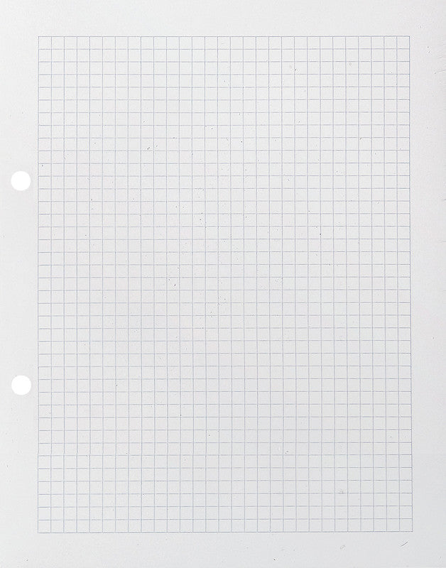 Ingold-biwa Notizbuch-Einlagen 175 × 220 mm, kariert 5 mm, mit Rand, 2-fach gelocht, 90 g/m² – 500 Blatt
