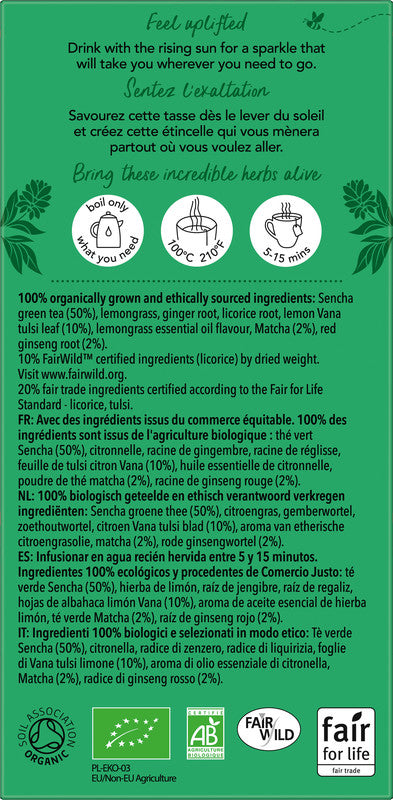 Pukka Ginseng-Matcha Green – Teebeutel, Bio-Grüntee – 20 Beutel