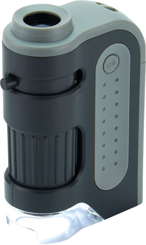 Carson MicroBrite Plus Taschenmikroskop – 60–120×, LED, grau