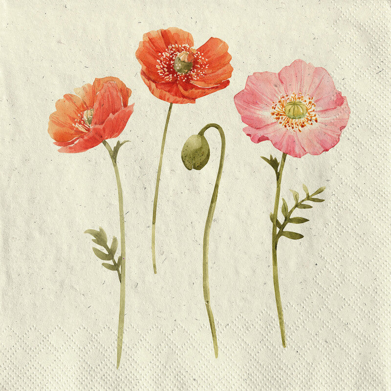 Fasana Servietten Summer Beauties – 24 × 24 cm – 3-lagig, Tissue – 20 Stk., FSC