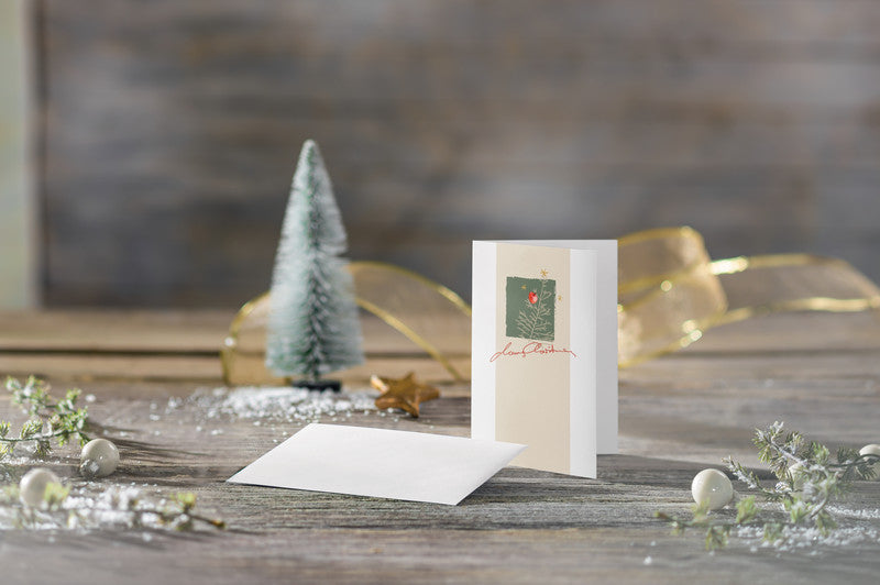 Sigel Weihnachtsgrusskarte (mit Äpfeln) – A6 (105 × 148 mm) – mit Umschlägen, für Inkjet/Laser/Kopierer