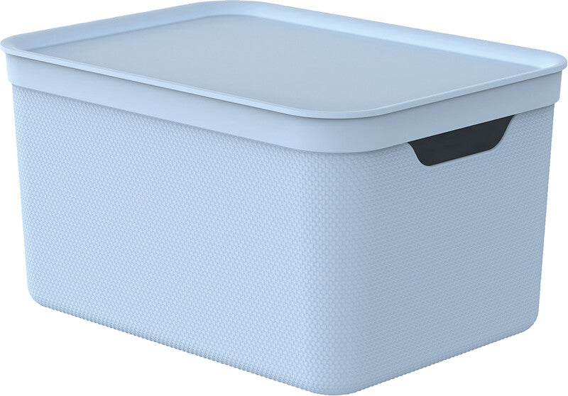 Rotho Aufbewahrungsbox 16 l (mit Deckel) – Kunststoff – Hellblau – für A4 – stapelbar, mit Griffloch