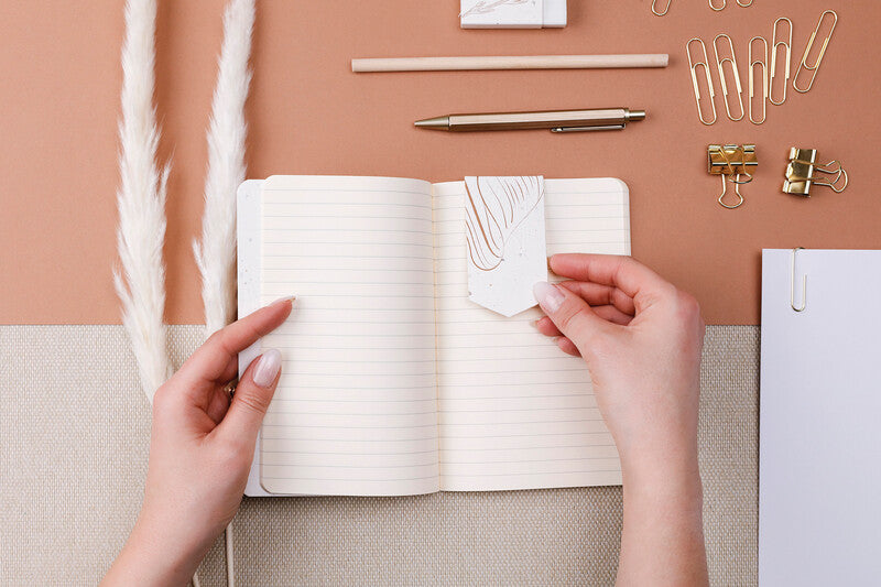 Clairefontaine Lesezeichen – sortiert, Papier, 15,5 × 10,5 cm, magnetisch, 2 Stück