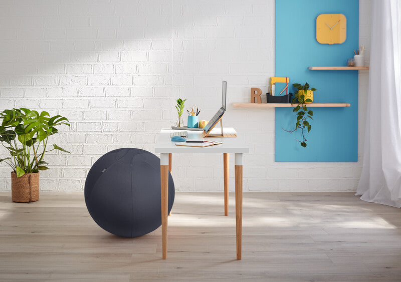 Leitz Sitzball Ergo Cosy Active – Ø 65 cm, samtgrau