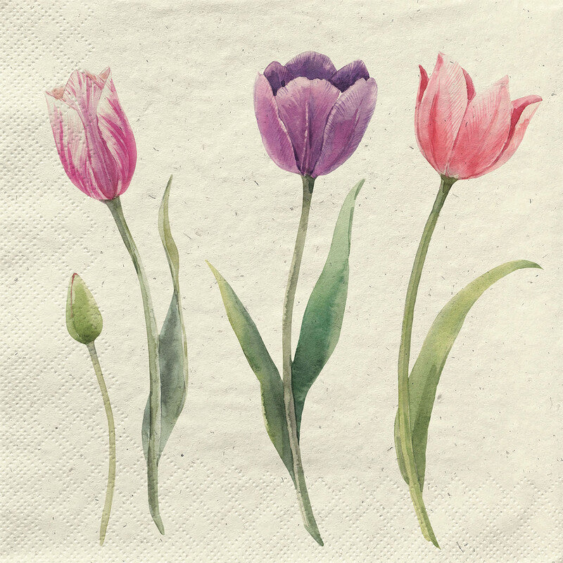 Fasana Servietten Spring Beauties – 24 × 24 cm – 3-lagig, Tissue – 20 Stk., FSC