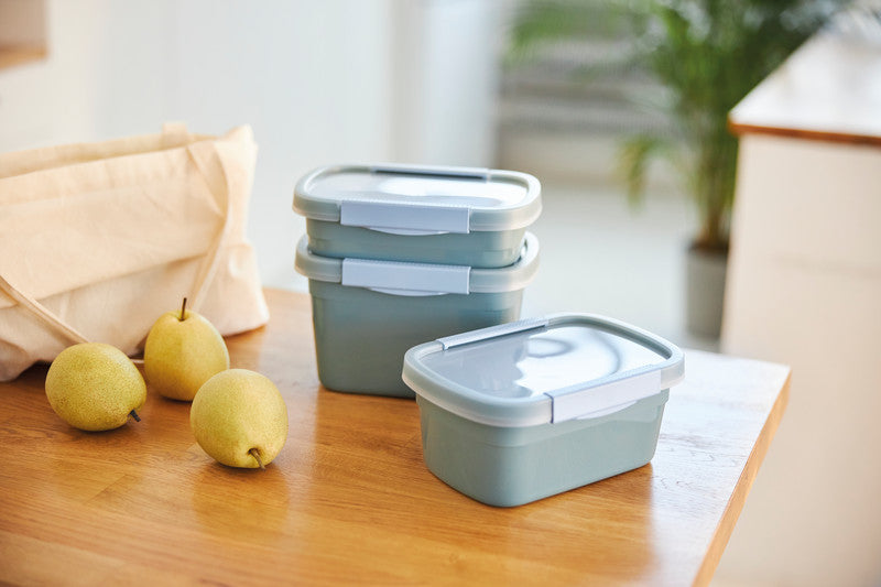 Rotho Kühlschrankdose Clic Eco – 0,8 l – rechteckig – 15 × 6,1 × 22 cm – Kunststoff – blau