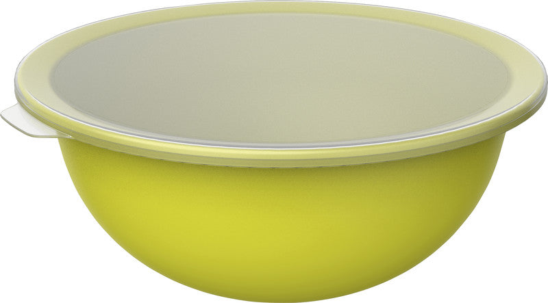 Rotho Schüssel Caruba – 4,8 l – mit Deckel, stapelbar – PP – grün – 32,2 × 13,3 × 30,5 cm