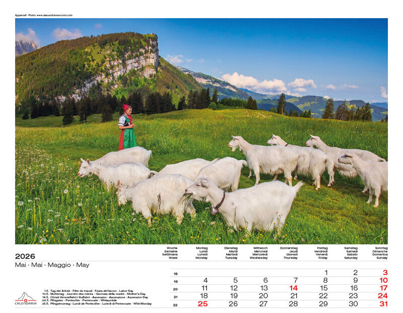Calendaria Bildkalender Schweiz 2026 – 40 × 31 cm – mit Aufhänger