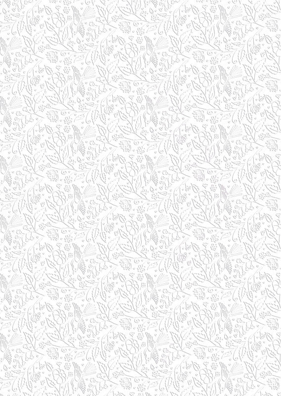 Zoewie Geschenkfolie – BOPP-Folie 25 Mikron – 70 cm × 2,5 m – sortiert, transparent