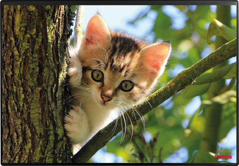 Kolma Schreibunterlage Undercover – Katze – 500 × 340 mm – Kunststoff, rutschfest