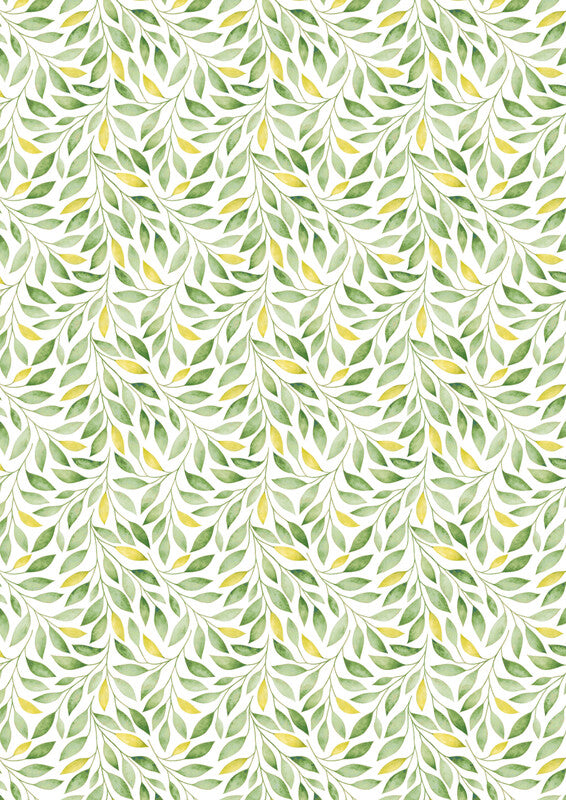 Zoewie Geschenkpapier – Dream Green – Papier 70 g/m2 – 700 × 2000 mm