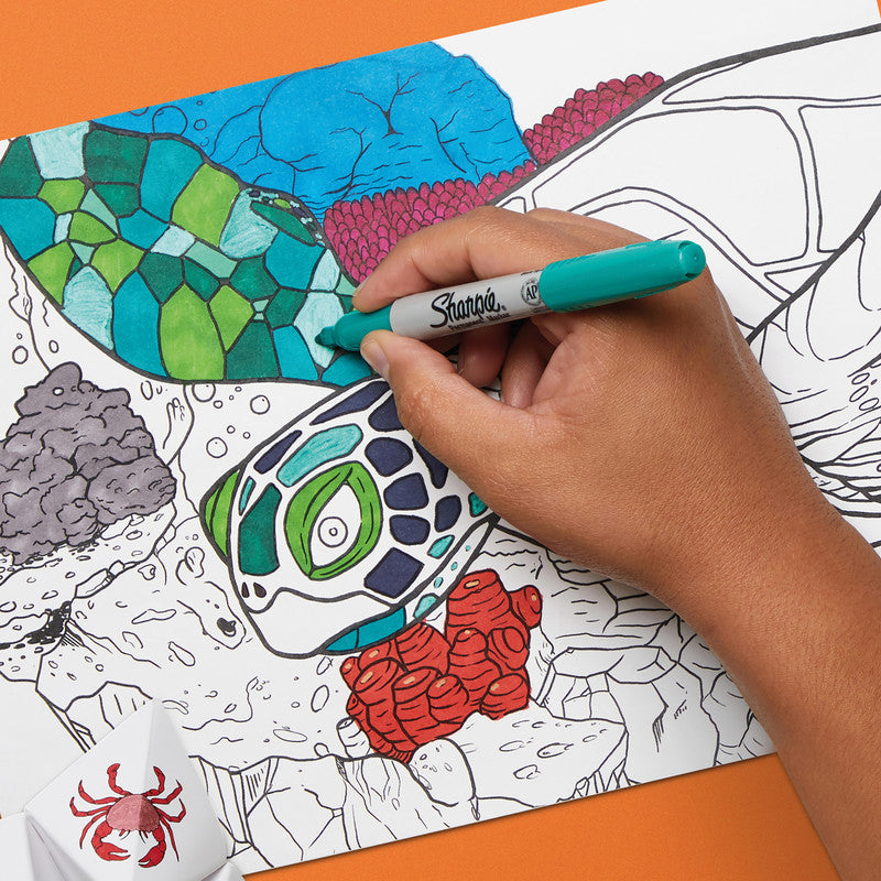 Sharpie Permanent Marker – sortiert, 30 Stück