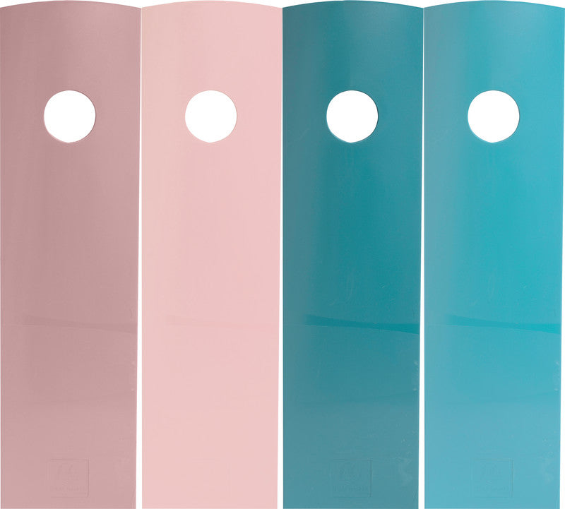 Exacompta Stehsammler Mag Cube – für Format A4, Kunststoff, mehrfarbig, mit Griffloch, 82 × 305 × 266 mm