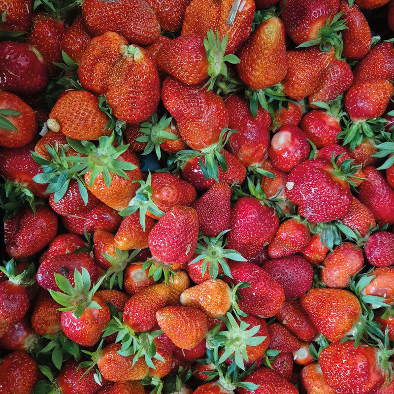 Sus ann Konfitüre Erdbeer-Rhabarber – 100 g