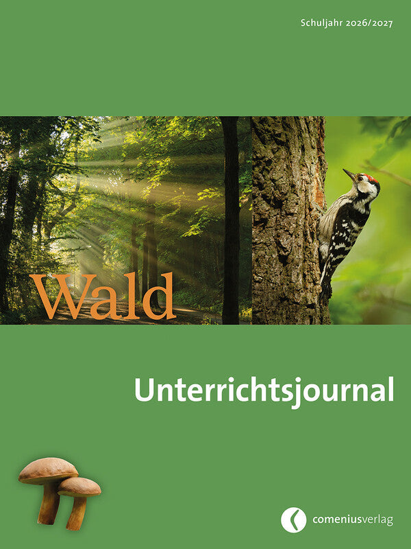 Ingold verlag Spiralbuch – A4 – 80 g/m² – Spiralbindung, Vordruck, nummerierte Seiten – mehrfarbig