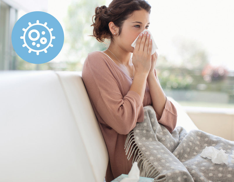 Leitz 3-in-1 Kombifilter – für TruSens Z-1000, Allergie & Grippe (antiviral), schwarz