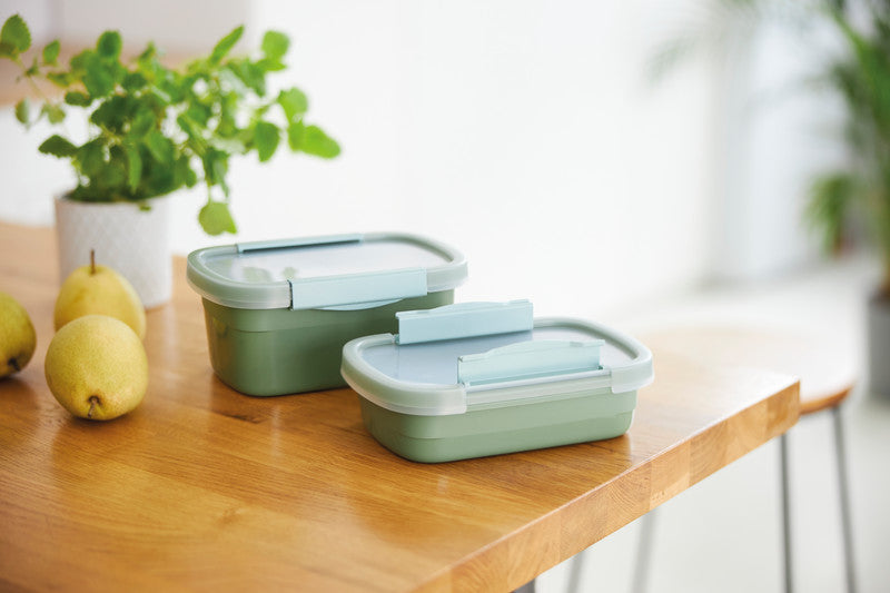 Rotho Kühlschrankdose Clic Eco – 2,2 l – rechteckig – 15 × 13,5 × 22 cm – Kunststoff – grün