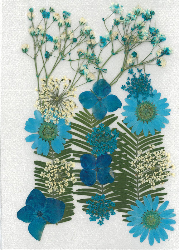 Stafil Gepresste Trockenblumen – Blau – 130 × 180 mm