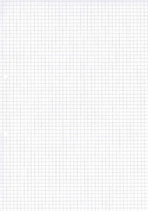 Ingold-biwa Notizbuch-Einlagen A4, kariert 5 mm, 2-fach gelocht, 90 g/m² – 500 Blatt
