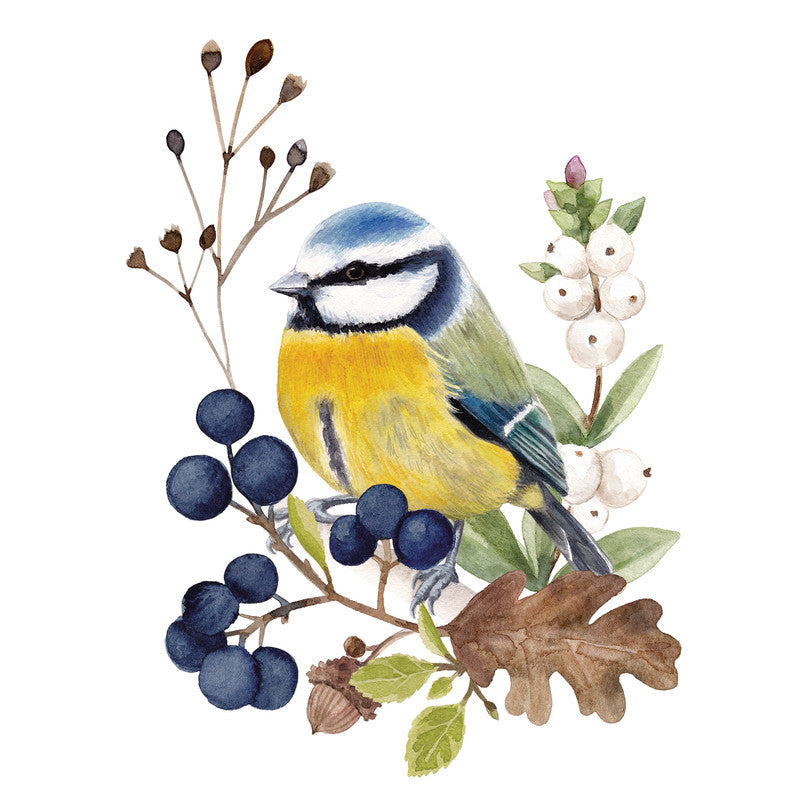 Ppd Servietten Oiseau en Nature – 33 × 33 cm – 3-lagig, Tissue – 20 Stk., FSC