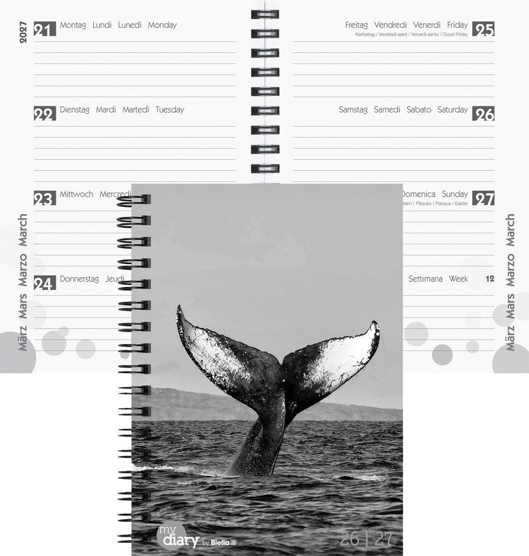 Biella mydiary Schüleragenda – 1 Woche/2 Seiten, Spiralbindung, 12 × 16,5 cm, Aug–Jul, Whale, FSC