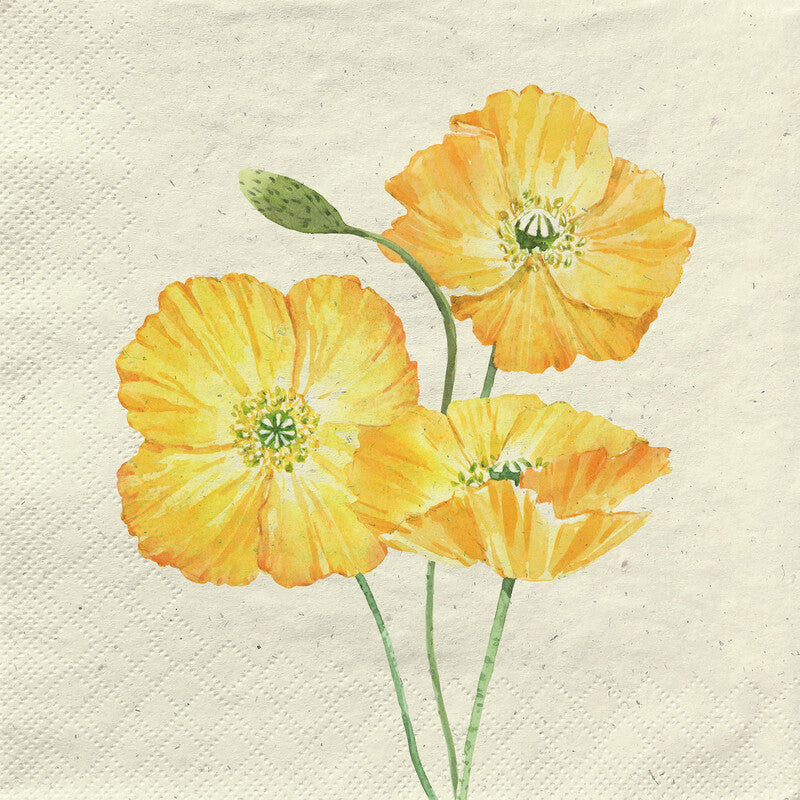Fasana Servietten Yellow Beauties – 33 × 33 cm – 2-lagig, Tissue – 20 Stk., FSC