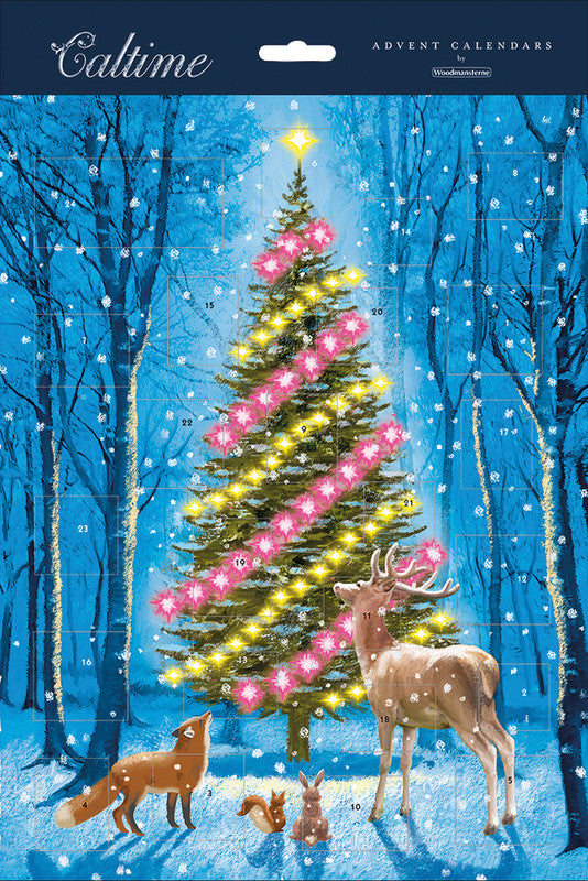 Caltime Adventskalender Lichtertanne, Karton, sortiert, 24,5 × 35 cm – eco:plus, recyclingfähig