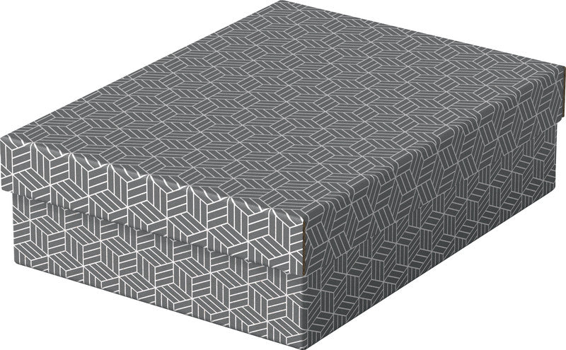 Esselte Archivschachtel A4 – mit Deckel, 265 × 100 × 360 mm, grau, Karton, 3er Pack