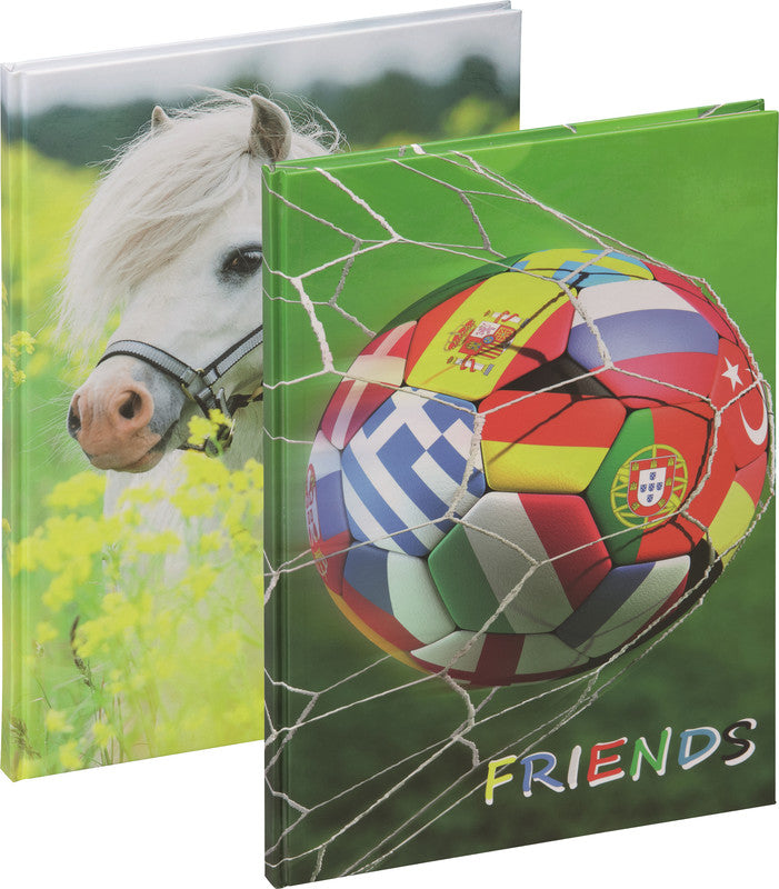 Pagna Kleines Pony Freundebuch – 150 × 220 mm – 60 Seiten – Deutsch, gebunden, laminierter Papiereinband