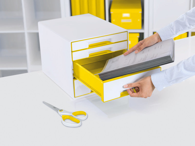 Leitz Organizer WOW Cube