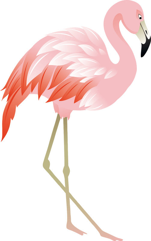Funki Schulrucksack-Set Joy-Bag – 4-teilig – Flamingo