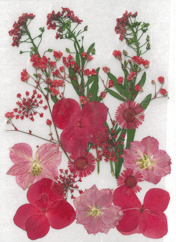 Stafil Gepresste Trockenblumen – Rot – 130 × 180 mm, 1 Stück