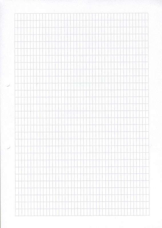 Ingold-biwa Notizbuch-Einlagen A4, kariert 4 × 9 mm, mit Rand, 2-fach gelocht, 90 g/m² – 500 Blatt
