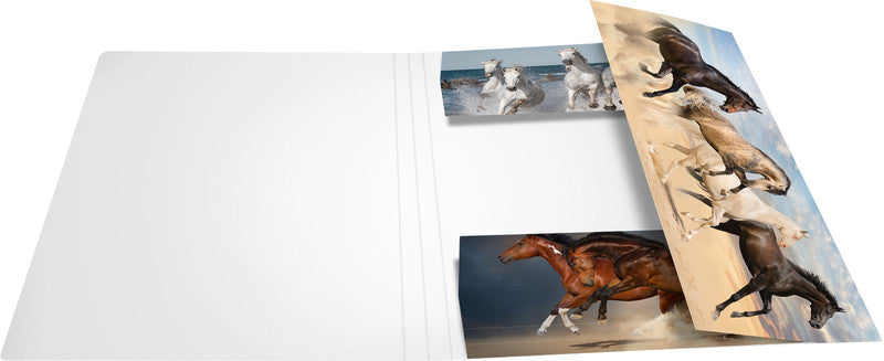 HERMA Sammelmappe für A4, Karton, mehrfarbig, mit Gummizug