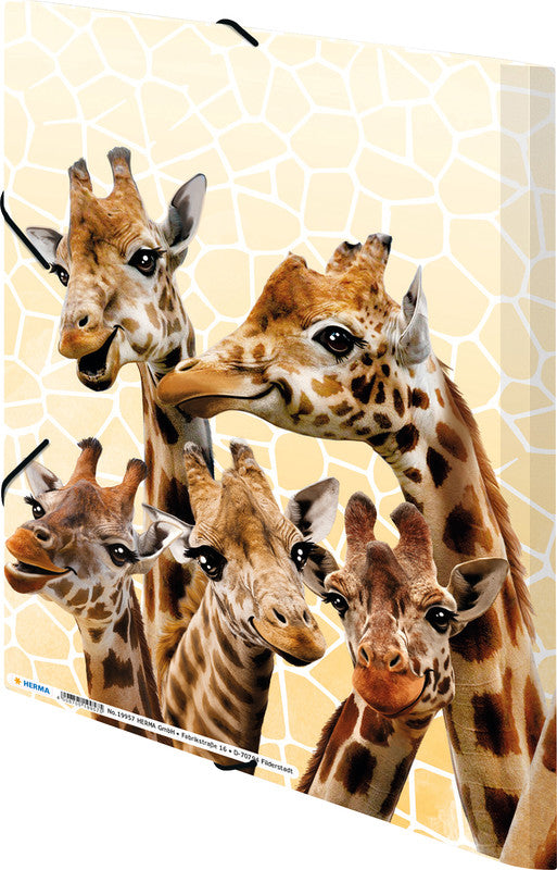 HERMA Sammelmappe für A4, Kunststoff, mehrfarbig, mit Gummizug